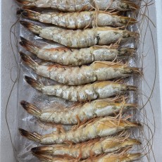자연산 대하