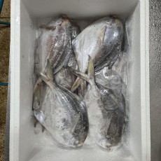 병어